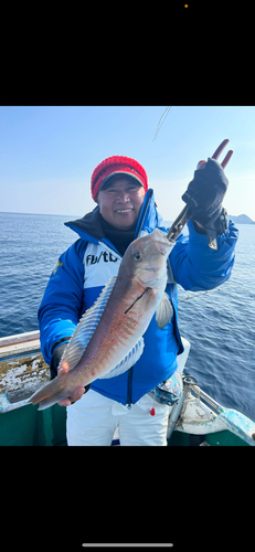 シロアマダイの釣果