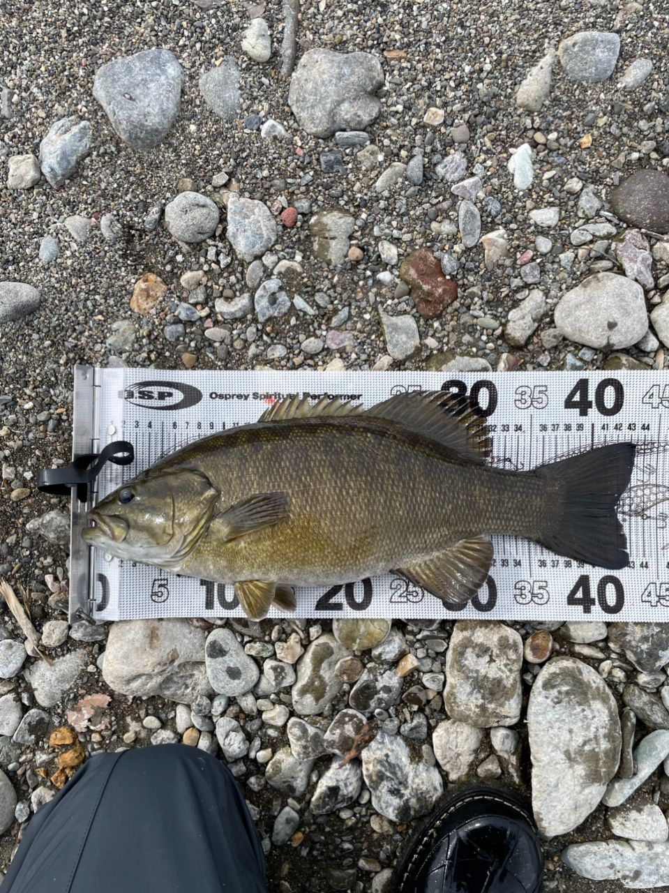 SHIMANO 21ポイズングロリアス 168ML-LMの最安値・インプレ・釣果