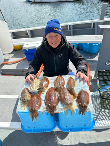 コウイカの釣果