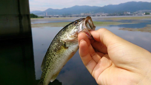 矢橋帰帆島