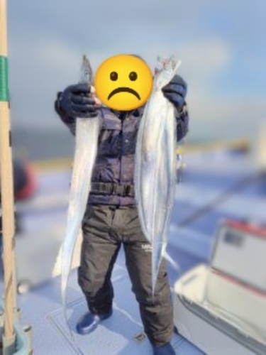 タチウオの釣果