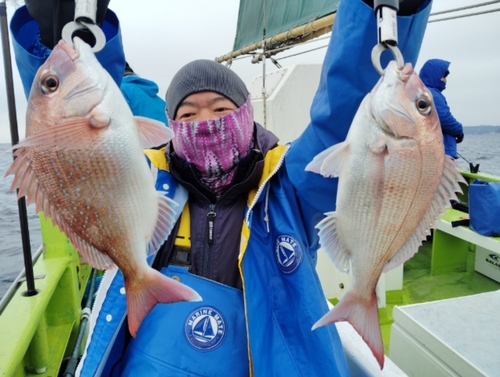 マダイの釣果