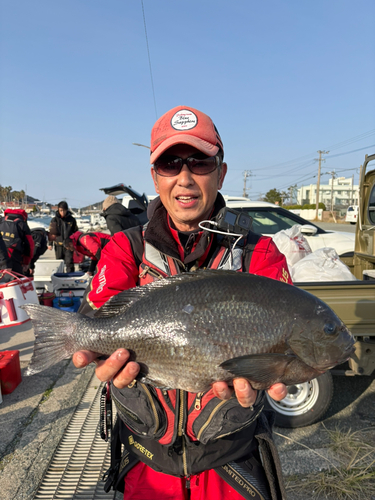 グレの釣果