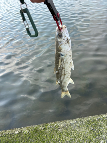 稲永公園