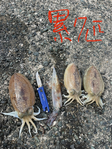 釣果