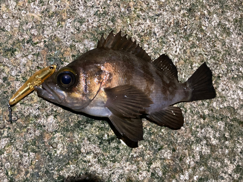 松ヶ浜漁港