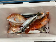 釣果