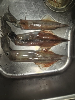 釣果