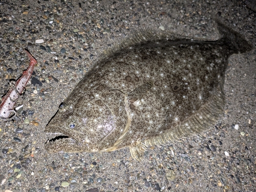 辻堂海浜公園前