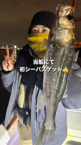 シーバスの釣果