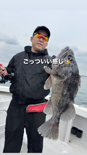 クロソイの釣果