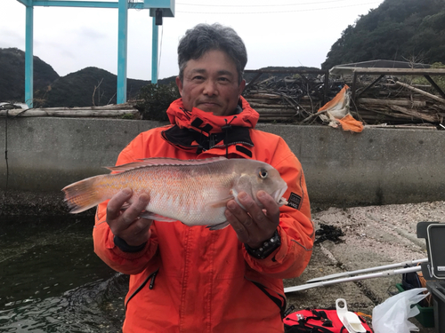 シロアマダイの釣果