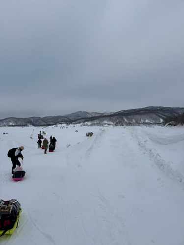 ワカサギの釣果