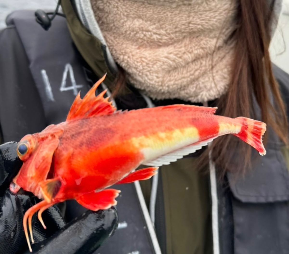 はまぶたさんの釣果 1枚目の画像