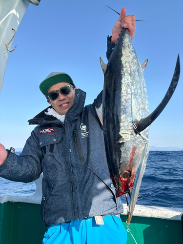 ビンチョウマグロの釣果