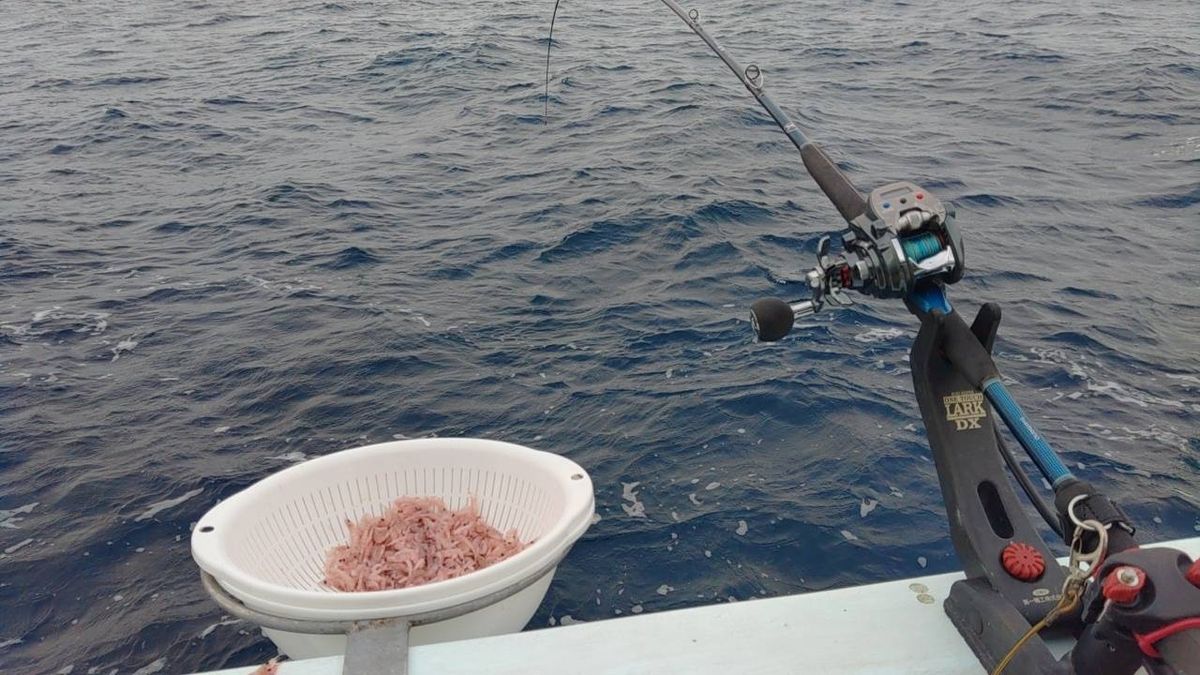 小心者釣り坊主さんの釣果 1枚目の画像