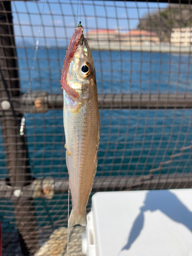 狩留家海浜公園