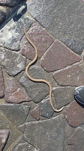 新居海釣公園