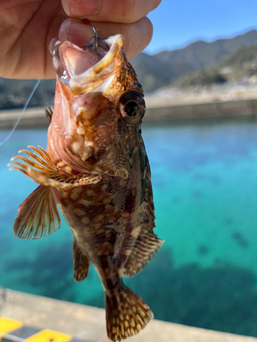 釣果