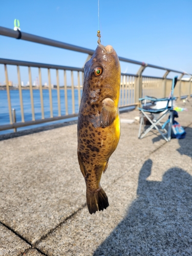 東扇島西公園