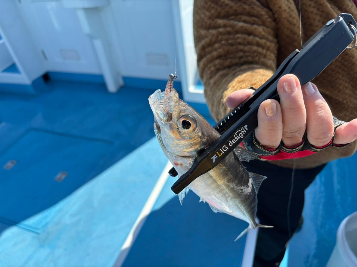 まなひなさんの釣果 2枚目の画像