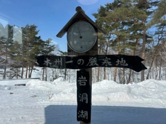 ワカサギの釣果