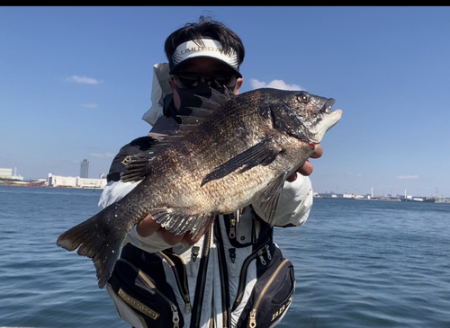 チヌの釣果