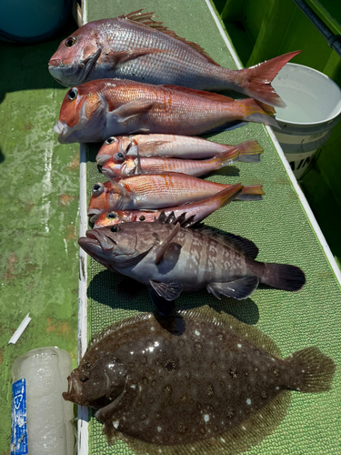 アカアマダイの釣果