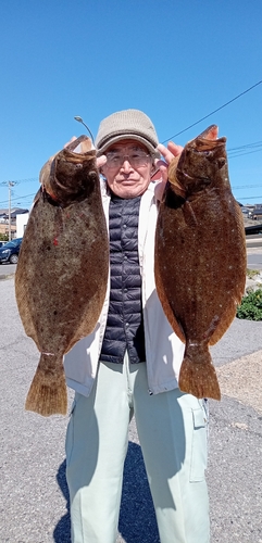 ヒラメの釣果