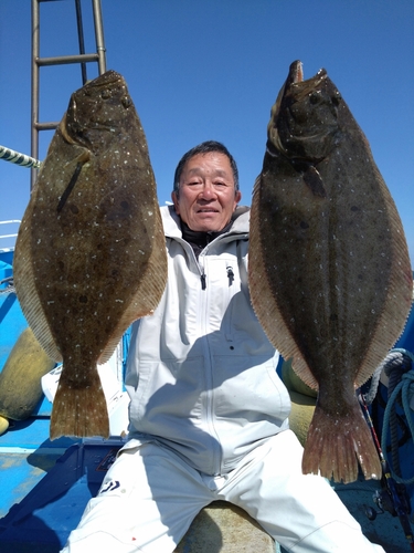 ヒラメの釣果