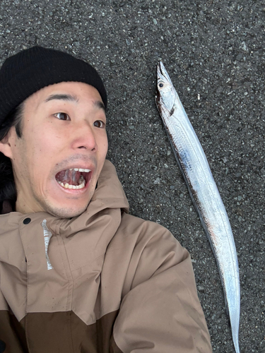 タチウオの釣果