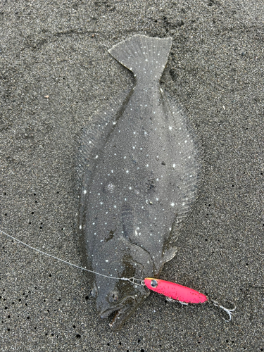 辻堂海浜公園前