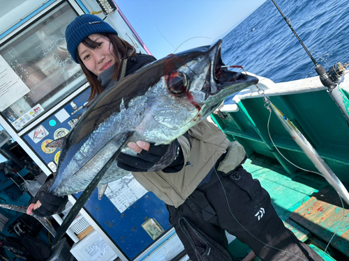 ビンチョウマグロの釣果