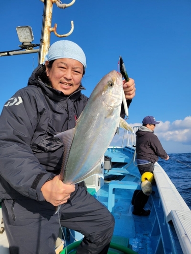 カンパチの釣果