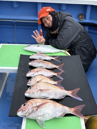 マダイの釣果