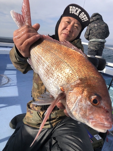 マダイの釣果