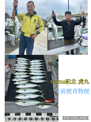 メジロの釣果