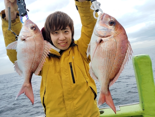 マダイの釣果