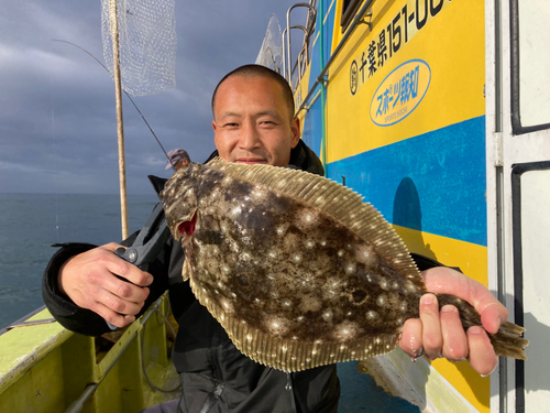 ヒラメの釣果