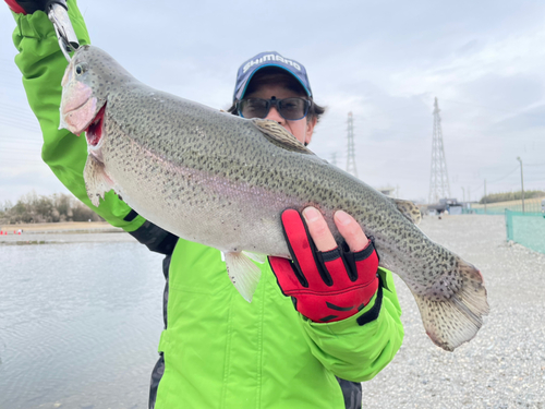 ヤシオマスの釣果