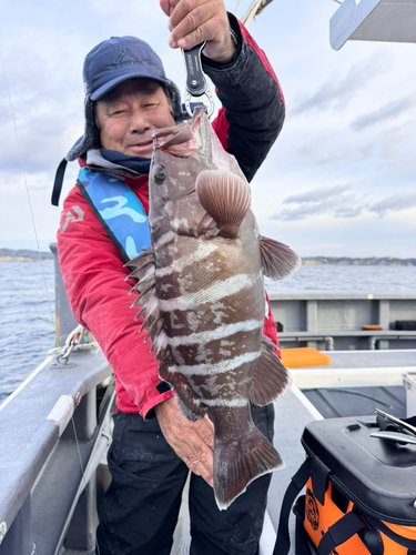 マハタの釣果