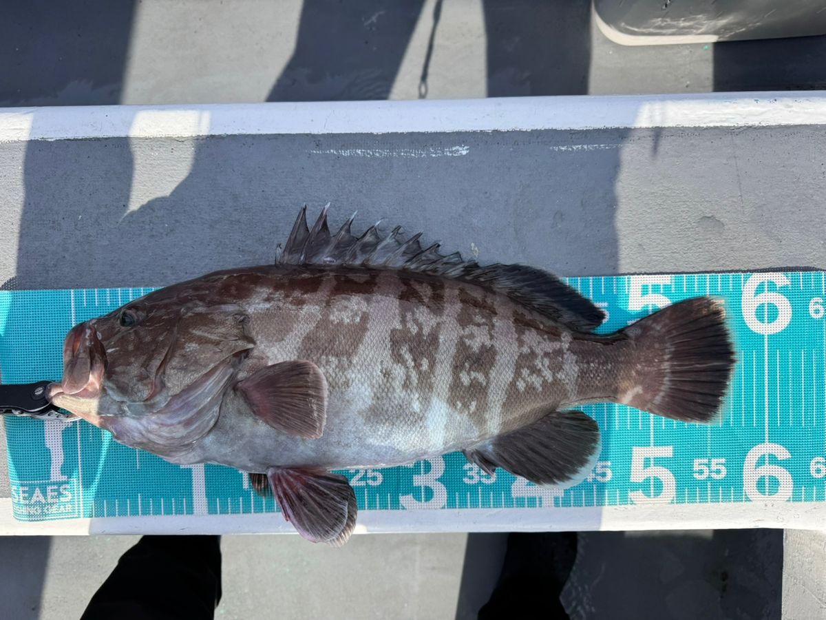 TATSUYA@SHINSHOUMARUさんの釣果 3枚目の画像