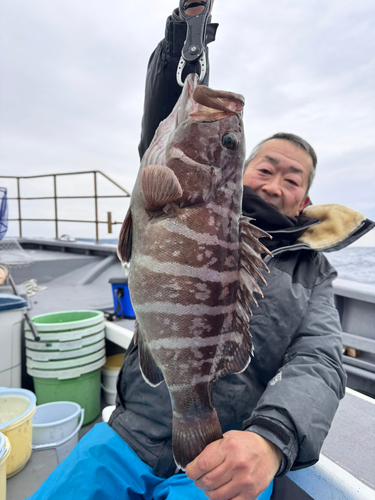 マハタの釣果