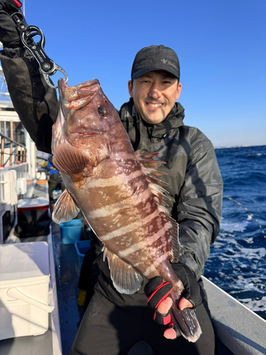 マハタの釣果