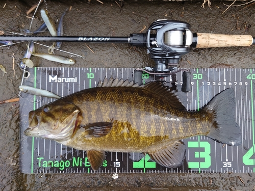 スモールマウスバスの釣果