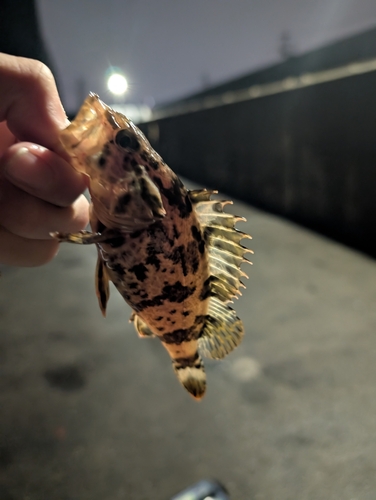 霞釣り公園