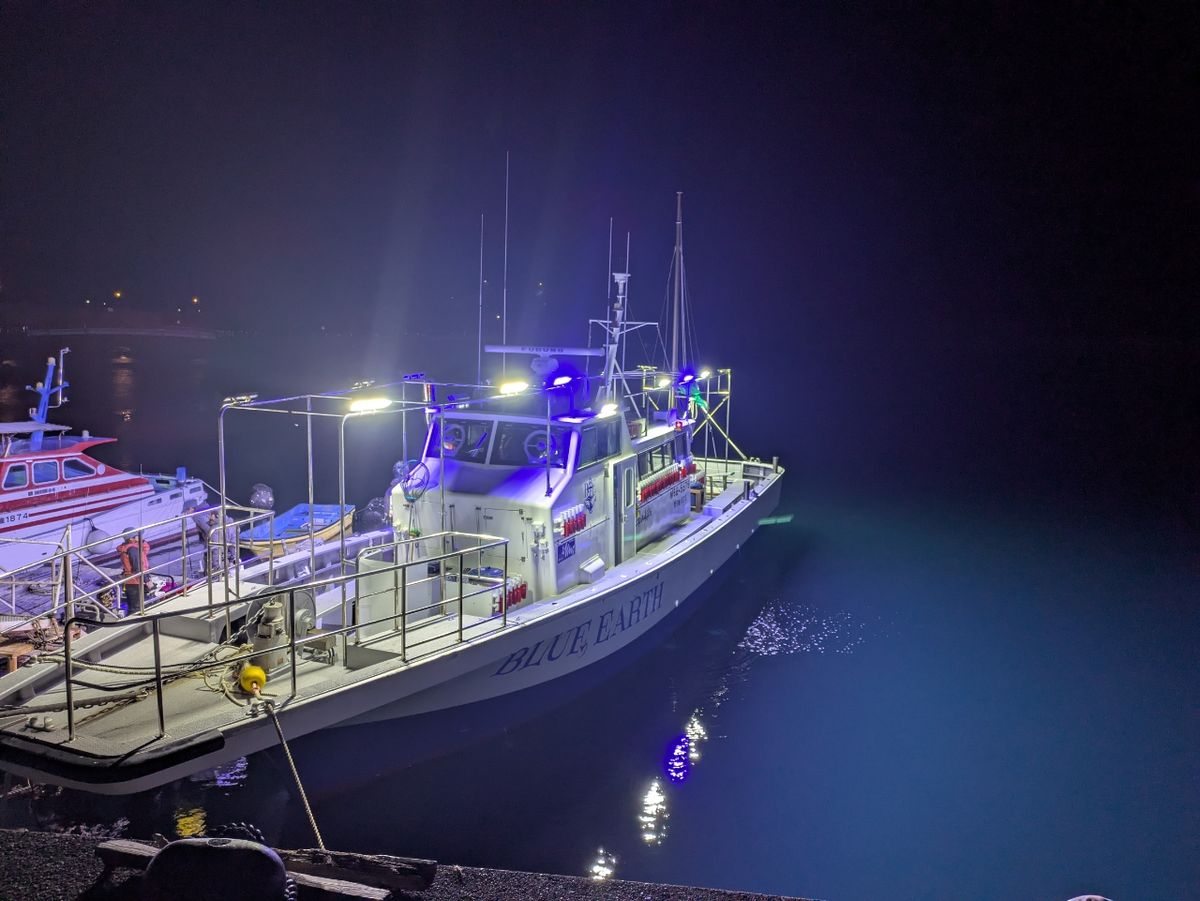 ぼ〜ちゃんFamily🎣さんの釣果 2枚目の画像