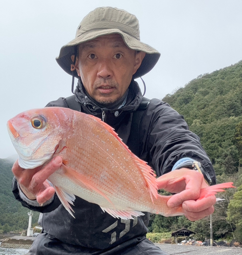 タイの釣果