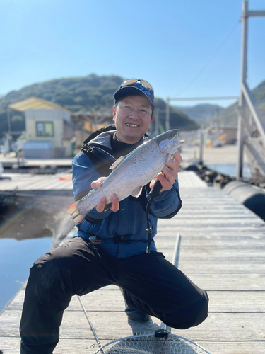 サクラマスの釣果