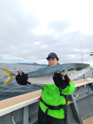 メジロの釣果